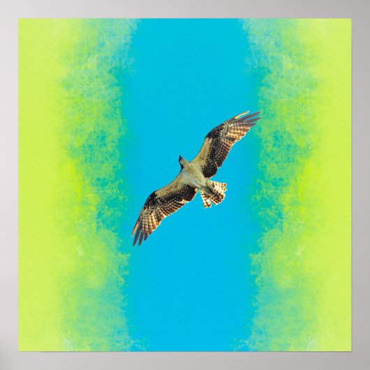 Poster Blue and yellow (Devant)