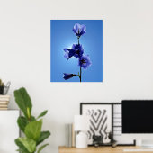 Poster Blue Bellflower (Bureau à domicile)