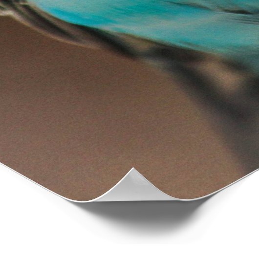 Poster Blue Budgie (Coin)