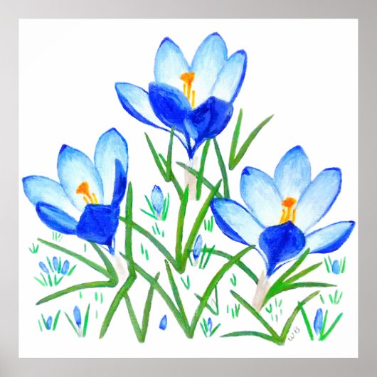 Poster Blue Crocus Flowers Print (Devant)