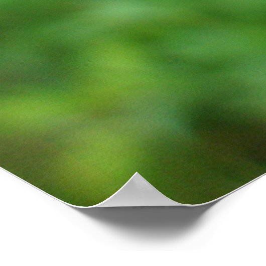 Poster Blue Dasher Dragonfly (Coin)