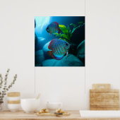 Poster Blue Discus Fish Aquarium Fish Tank Art (Cuisine)