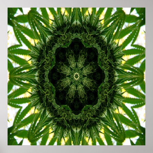Poster Blue Dream Mandala... (Devant)