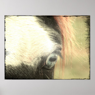 Poster Blue Eye Grunge