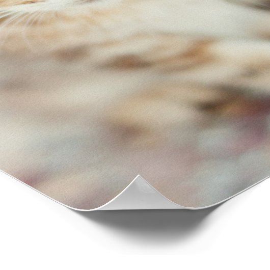 Poster Blue Eyed (Coin)