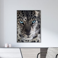 Blue Eyed Leopard