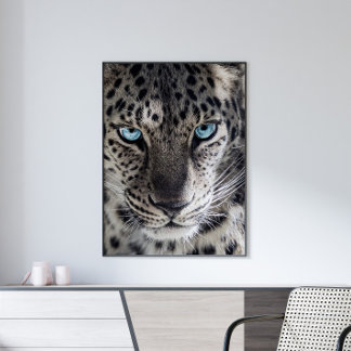 Poster Blue Eyed Leopard