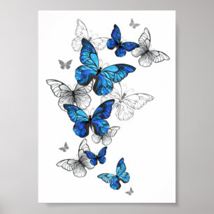 Poster Blue Flying Butterflies Morpho