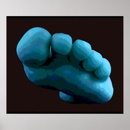 Poster Blue Foot, 2005 Photoshop Art. (Devant)