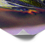 Poster Blue Gold Macaw Face Parrot Imaginaire Art (Coin)