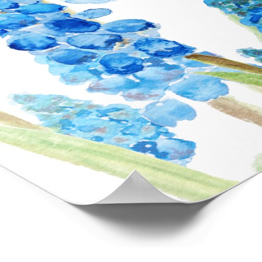 Poster blue grape hyacinth forest  (Coin)