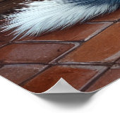 Poster Blue Heeler Fireplace with Christmas Lights (Coin)