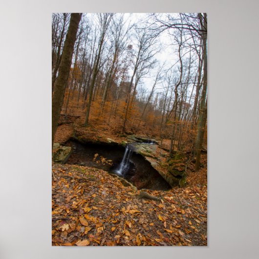 Poster Blue Hen Falls, Parc national de la vallée de Cuya (Devant)