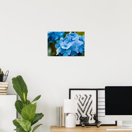 Poster Blue Hydrangea (Bureau à domicile)