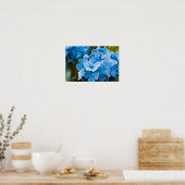 Poster Blue Hydrangea (Cuisine)