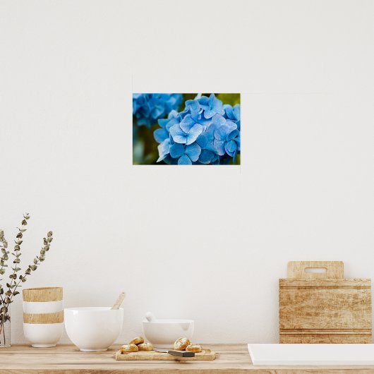 Poster Blue Hydrangea (Cuisine)