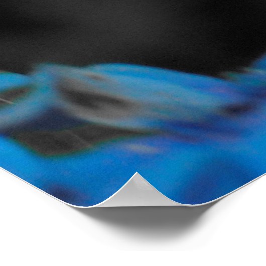 Poster Blue hydrangea (Coin)