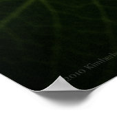 Poster Blue Hydrangea 8514 Imprimer (Coin)