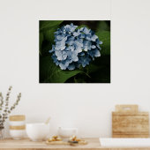 Poster Blue Hydrangea 8515 Imprimer (Cuisine)