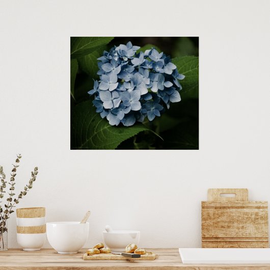 Poster Blue Hydrangea 8515 Imprimer (Cuisine)