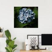 Poster Blue Hydrangea 8515 Imprimer (Bureau à domicile)