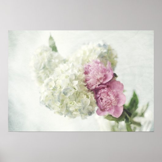 Poster Blue Hydrangea et Pony rose Imprimer (Devant)
