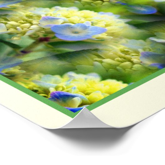 Poster Blue Hydrangea Fleurs Miroir Abstrait (Coin)