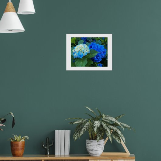 Poster Blue Hydrangea Floral Photographie (Salon 1)