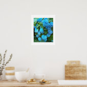 Poster Blue Hydrangea Floral Photographie (Cuisine)