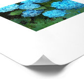 Poster Blue Hydrangea Floral Photographie (Coin)