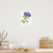 Poster Blue Hydrangea Original Art Print (Cuisine)