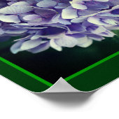 Poster Blue Hydrangea Petals Gros plan Abstrait (Coin)