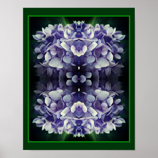 Poster Blue Hydrangea Petals Gros plan Abstrait (Devant)