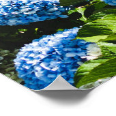 Poster Blue Hydrangea sur l'océan dégradé Puzzle (Coin)