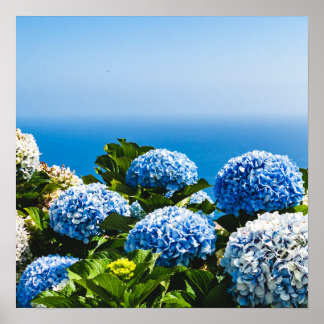 Poster Blue Hydrangea sur l'océan dégradé Puzzle
