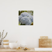 Poster Blue Hydrangeas (Cuisine)