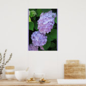 Poster Blue Hydrangeas (Photo) (Cuisine)
