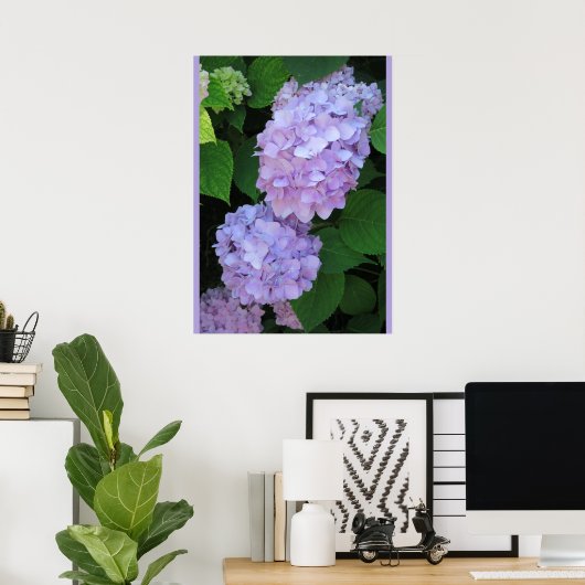 Poster Blue Hydrangeas (Photo) (Bureau à domicile)