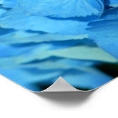 Poster Blue Hydrengea (Coin)