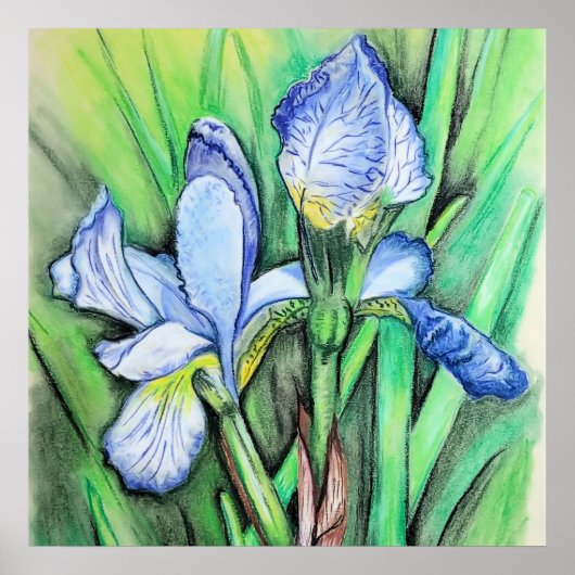 Poster Blue Iris Flower Original Art Drawing Floral  (Devant)