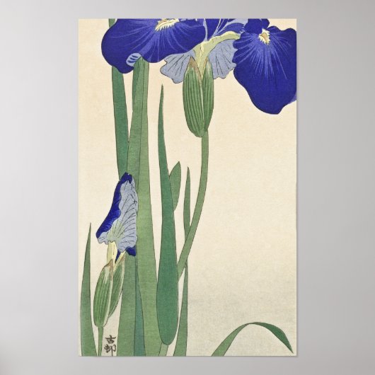 Poster Blue Irises (1900 - 1930) par Ohara Koson (Devant)