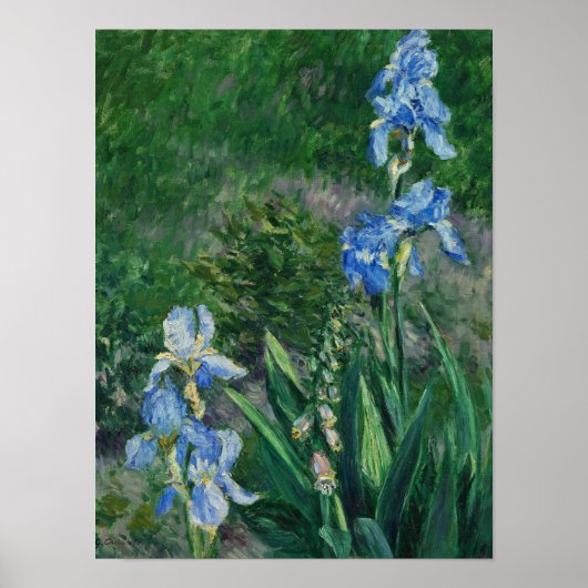 Poster Blue Irises, Jardin du Petit Gennevilliers, 1892 (Devant)