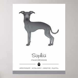 Poster Blue Italian Greyhound mignon chien avec texte per