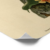 Poster Blue Jay (Coin)