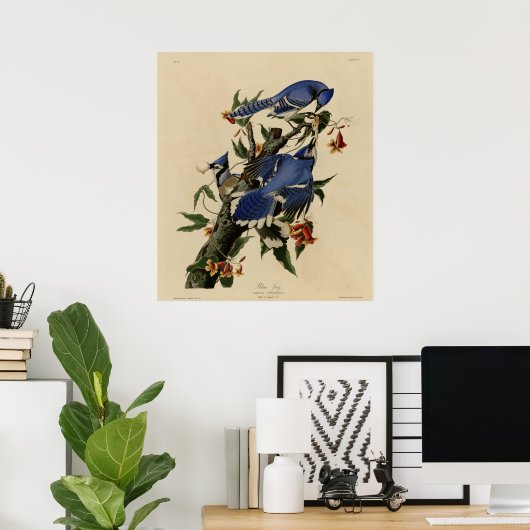 Poster Blue Jay (Bureau à domicile)