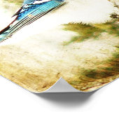 Poster Blue Jay (Coin)