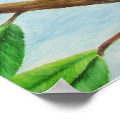 Poster Blue Jay (Coin)