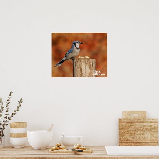 Poster Blue Jay (Cuisine)