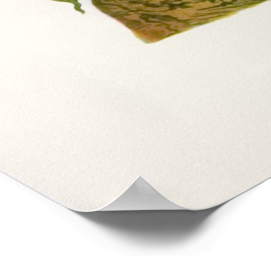 Poster Blue Jay (Coin)