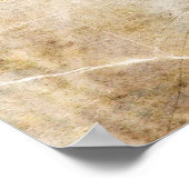 Poster Blue Jay (Coin)